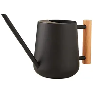Watering Can Indoor Plants, 30oz/900ml Small Plant Watering Can with Long Spout, Stainless Steel Garden Watering Cans Outdoor Watering Pot for Indoor House Plants Bonsai Flower Decorative