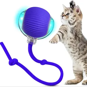 Rechargeable USB 360° Automatic Rolling Interactive Training Ball Dog Toy, Durable Interactive Play, Long-Lasting Fun, Glowing Lights, Easy Transport, Includes Leash