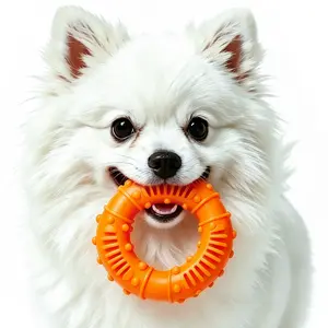 Dog Chew Toys for Aggressive Chewers, Dental Ring Toy for Teeth Cleaning, Interactive Teething Chew Toy with Treat Slots for Puppies, Small Medium Dogs
