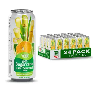 Vinut 100% Sugarcane with Calamansi Juice 24 Pack 16.9 Fl Oz No Added Sugar Natural Tropical Drink Pure Ingredients Refreshing Beverage - Fruit