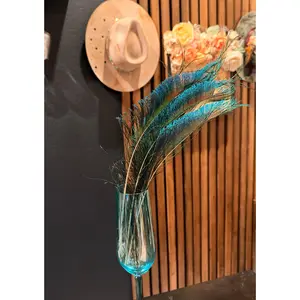Vibrant Peacock Sword Feather - Blue & Green