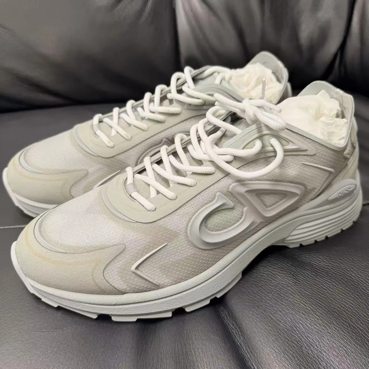 Dior B30 Sneaker
