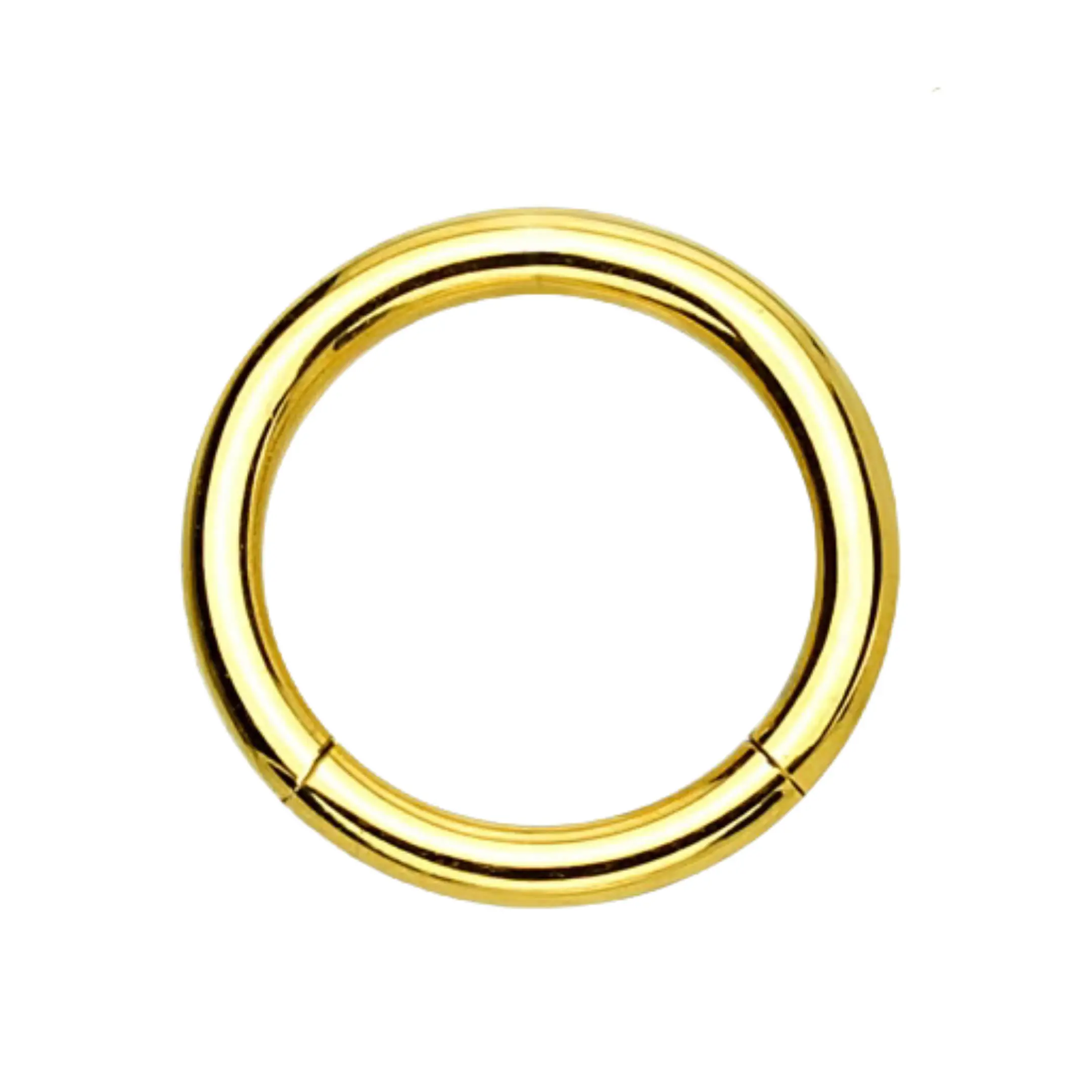Statement Gold Minimalist Clicker Nose Hoop - Statement Design, Lightweight and Durable, Ideal for Everyday Wear