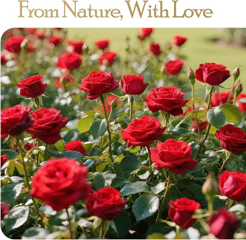 16 Preserved Flowers Rose Boka Birthday Gifts for Women Her Mom Wife Girlfriend Grandma on Valentines Mothers Day Christmas Anniversary Romantic