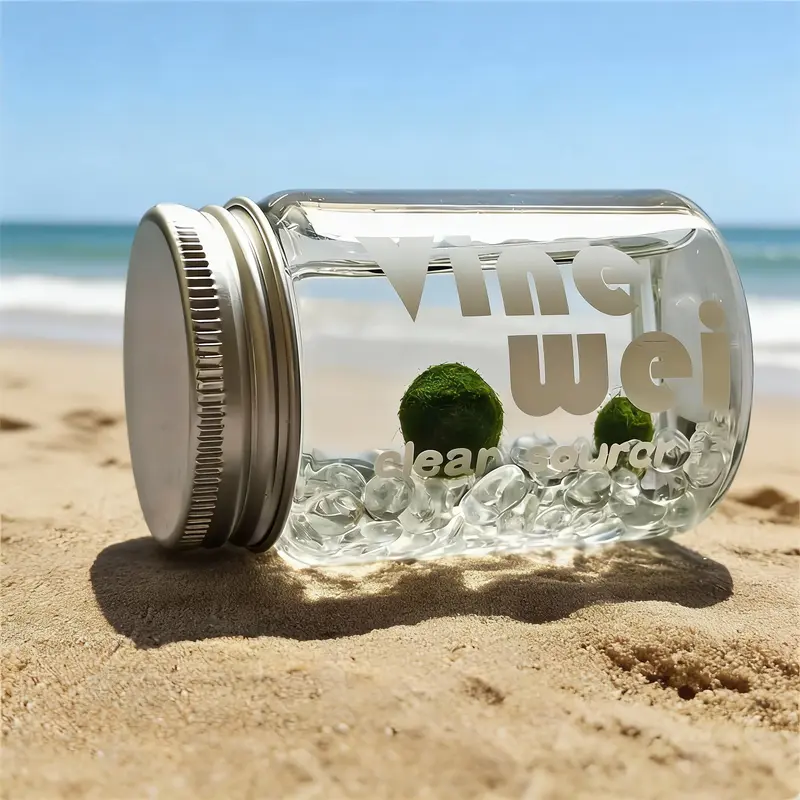 Marimo Moss Ball Energy Bottle - A Cute & Self-Sustaining Glass Ecosphere, Complete Low-Maintenance Habitat Kit with Easy-Care Guide for Zen Desk & Home Focus (Includes LIVELY Moss Ball Pet)
