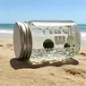 Marimo Moss Ball Energy Bottle - A Cute & Self-Sustaining Glass Ecosphere, Complete Low-Maintenance Habitat Kit with Easy-Care Guide for Zen Desk & Home Focus (Includes LIVELY Moss Ball Pet)