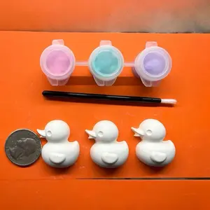 DIY Mini Duck Paint Kit