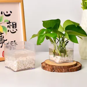 Minimalist Modern Transparent Plastic Square Jar Home Flower Vase Hydroponic Plant Container Desktop Decoration