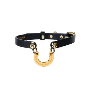 CHICCHOK [Classic C] Adjustable Leather Necklace Punk Genuine Leather Necklace Gothic Necklace Soft Choker Chain, Suitable for Women Girls Valentine's Day Gifts Choker slipchainchokerwomen choker versatile wear