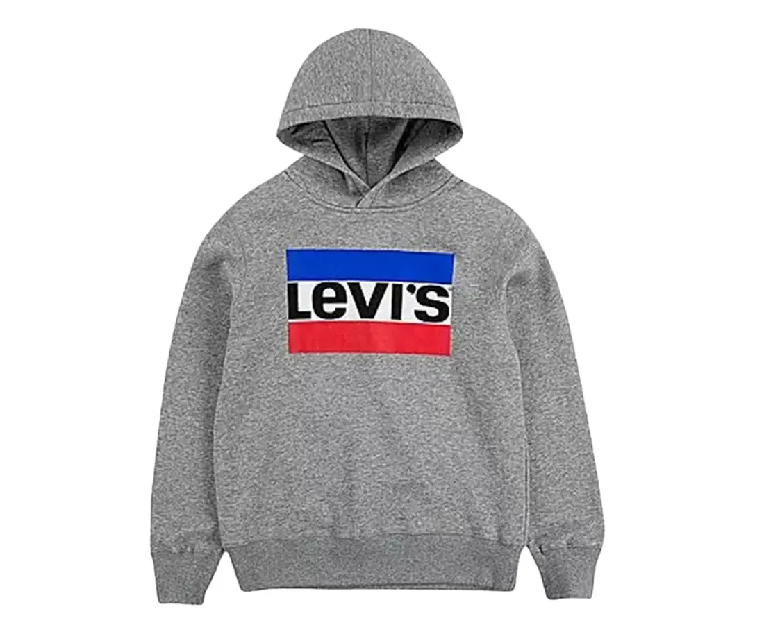Levi's Sportswear Logo Graphic Boys Active Hoodies