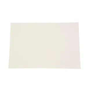 Pen and Ink Sulphite Drawing Paper, 80 lb, 9 x 12 Inches, White, 100 Sheets