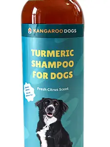 Kangaroo Dogs Turmeric Gentle Shampoo for Dogs