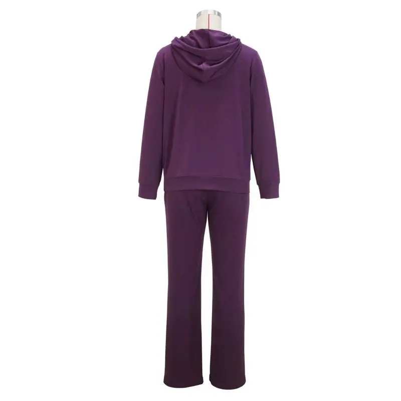 New Solid Purple Colour Stylish Casual Hooded Sweatshirt & Long Pants Set for Women Fashion Comfortable Set Womenswear Clothes
