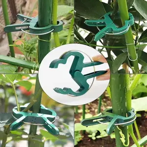 Plant Fixed Clips Reusable Garden  Greenhouse Bracket for Fixed Plants Vine Flower  Seedling Stem Suppor t Garden Supplies