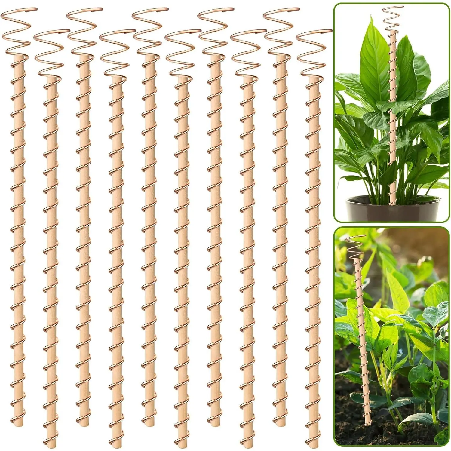 10 Electroculture Antennas Kit for Gardening Enthusiasts - 13.5 in 99.9% Copper Conductive Tensor Rings, Easy-to-Install Soil Insertion Garden Stakes, Harnesses Earth's Natural Energy, Indoor Outdoor Plant Support