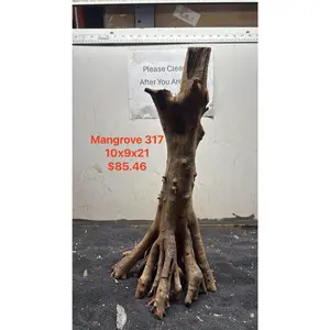 Mangrove Tree Stump 317