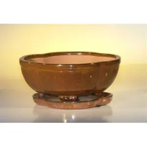 212 MAIN Aztec Orange Ceramic Bonsai Pot with Attached Humidity & Drip Tray, Ceramic Material, 8.5X6.5x3.5" in, Lotus Design for Home Improvement & Garden Supplies, Lotus Form