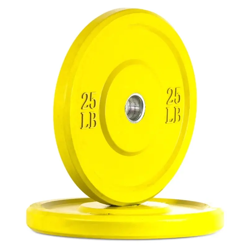 25 LB colored bumper plate (pair)