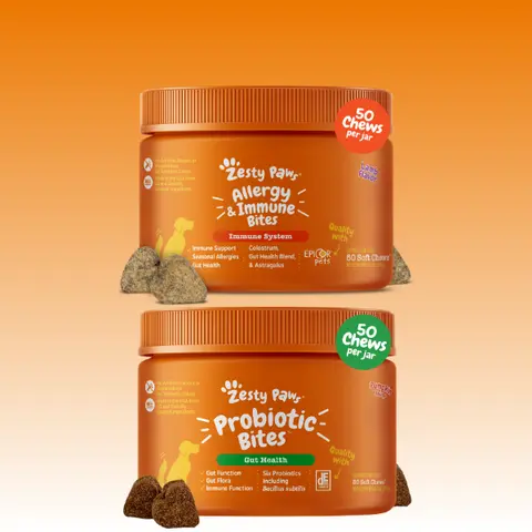 Autumn Fall Immunity Boost and Digestive Relief (50ct Pumpkin Autumn Probiotic Bites + 50ct Lamb Allergy & Immune Bites)