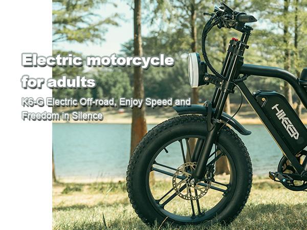 HiKeep K6-G  Electric Bike for Adults - 16/20 Inch Fat Tire Ebike, 750W/Peak 1500W Motor Ebike, 48V15.6AH Detachable Battery, 4 Riding Modes Electric Dirt Bike