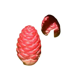 Hawaiian Awapuhi Shampoo Ginger Plant Rhizomes Starter Kit - 2 Premium Rhizomes for Cultivating Awapuhi Plant Ideal for Garden Enthusiasts and Beginners
