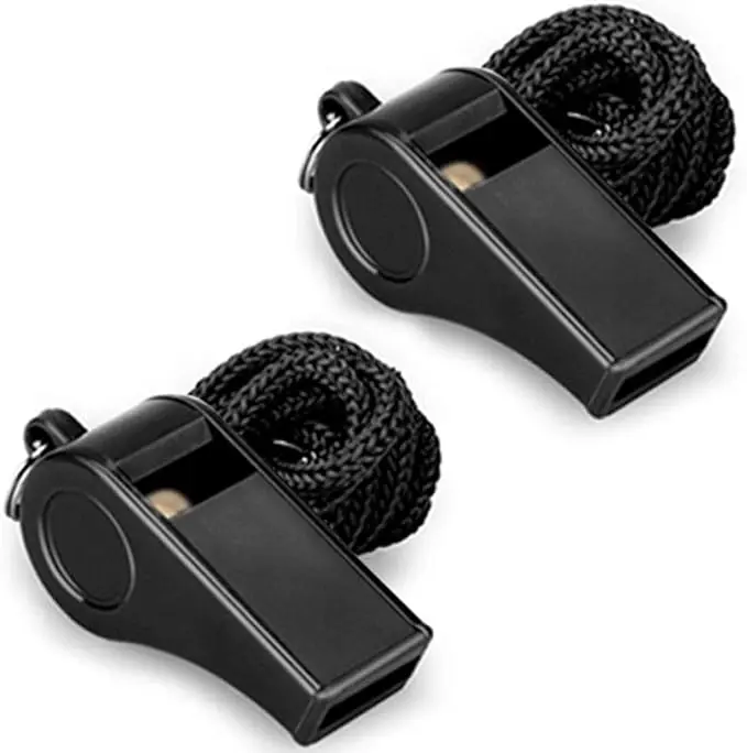 Summer Gift Whistle, 2 Packs Plastic Sports Whistles with Lanyard, Loud Crisp Sound Whistle Ideal for Coaches, Referees, and Officials