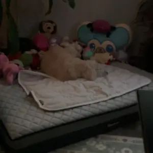 review image 5