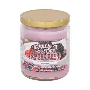 Smoke Odor Exterminator Candles 13oz Jar Assorted Scents Eliminates Smoke Odor Up to 70 Hours Burn Time