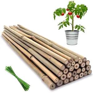 Plant Stakes,18 Inches Natural Garden Bamboo Sticks, 20Pcs Plant Support Stakes for Tomatoes,Beans,Vegetable and Potted Plants