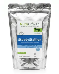 SteadyStallion – Advanced Equine Stress & Gut Support