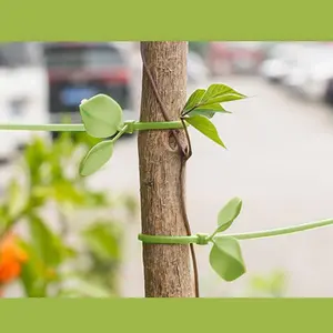 100 Pieces Thickened Grass Tie Straps, Decorative Leaf Binding Bands, Extended Garden Horticulture Fixing Rope, Simulation Leaves Tie