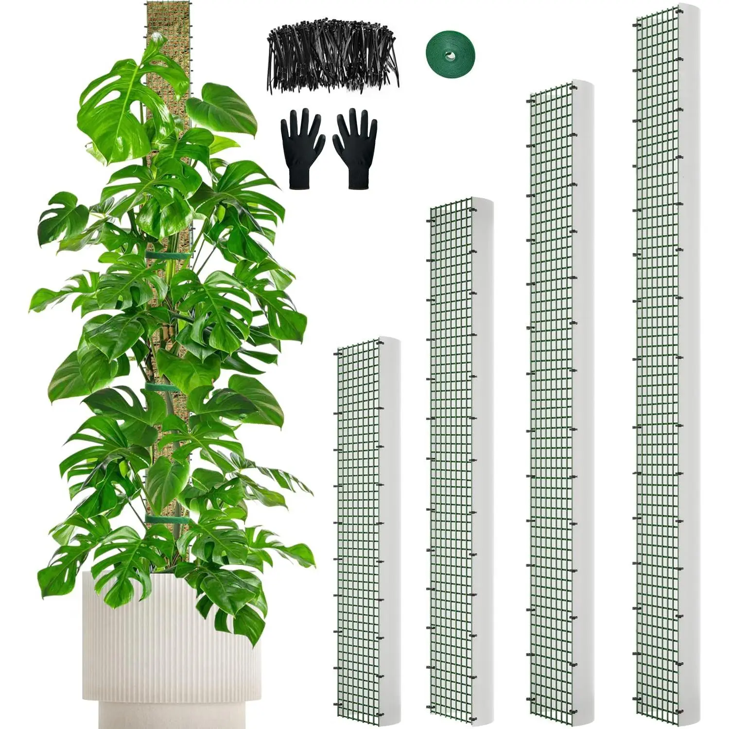 70"/60"/40"/24" Metal Moss Pole, D Shape Sphagnum Moss Pole, Moss Poles for Climbing , Monstera, Indoor Climbing  (1 Each of 70" 60" 40" 24")
