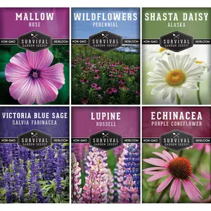 Survival Garden Seeds Perennial Flowers Mix - Shasta Daisy, Echinacea, Russell Lupine, Rose Mallow, Blue Sage & Wildflower Mix - Non-GMO Heirloom Seeds for Year-Round Beauty & Ecosystem Health