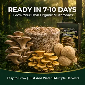 【Summer Vibes】Harvest At Home Edible Organic Oyster Mushroom Grow Kit 3.5 lb | Ready in 7–10 Days | Multiple Harvests | Beginner Friendly | DIY Indoor Gardening Gift for Plant Lovers, Kids & Adults