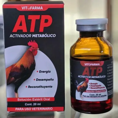 Suplemento Lipotraining Vitamin Para Gallos - Cápsulas Suplemento Lipotraining Vitamin Para Gallos - Cápsulas