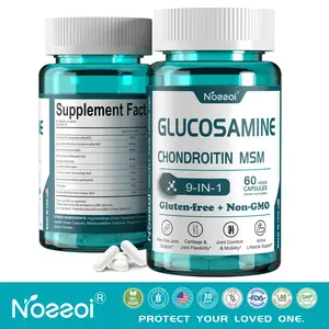 Glucosamine Chondroitin MSM & Turmeric Supplement - 9-in-1 Joint Support for Women Men with Boswellia & Chondroitin Sulfate - 60 Capsules Gluten-Free Non-GMO