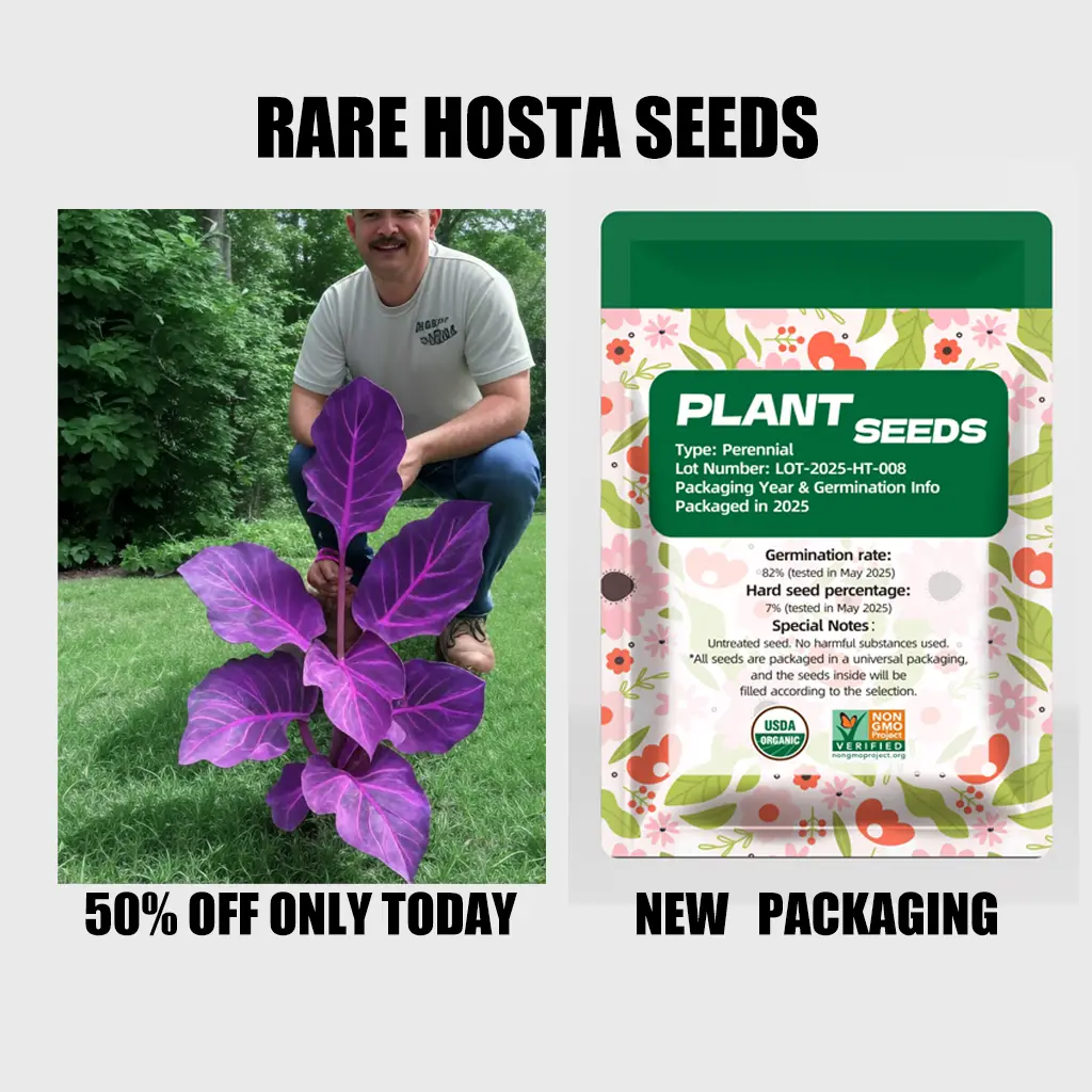 Rare Hosta Flower Seeds for Perennial Shade Garden Ornamental Foliage for Landscaping Outdoor