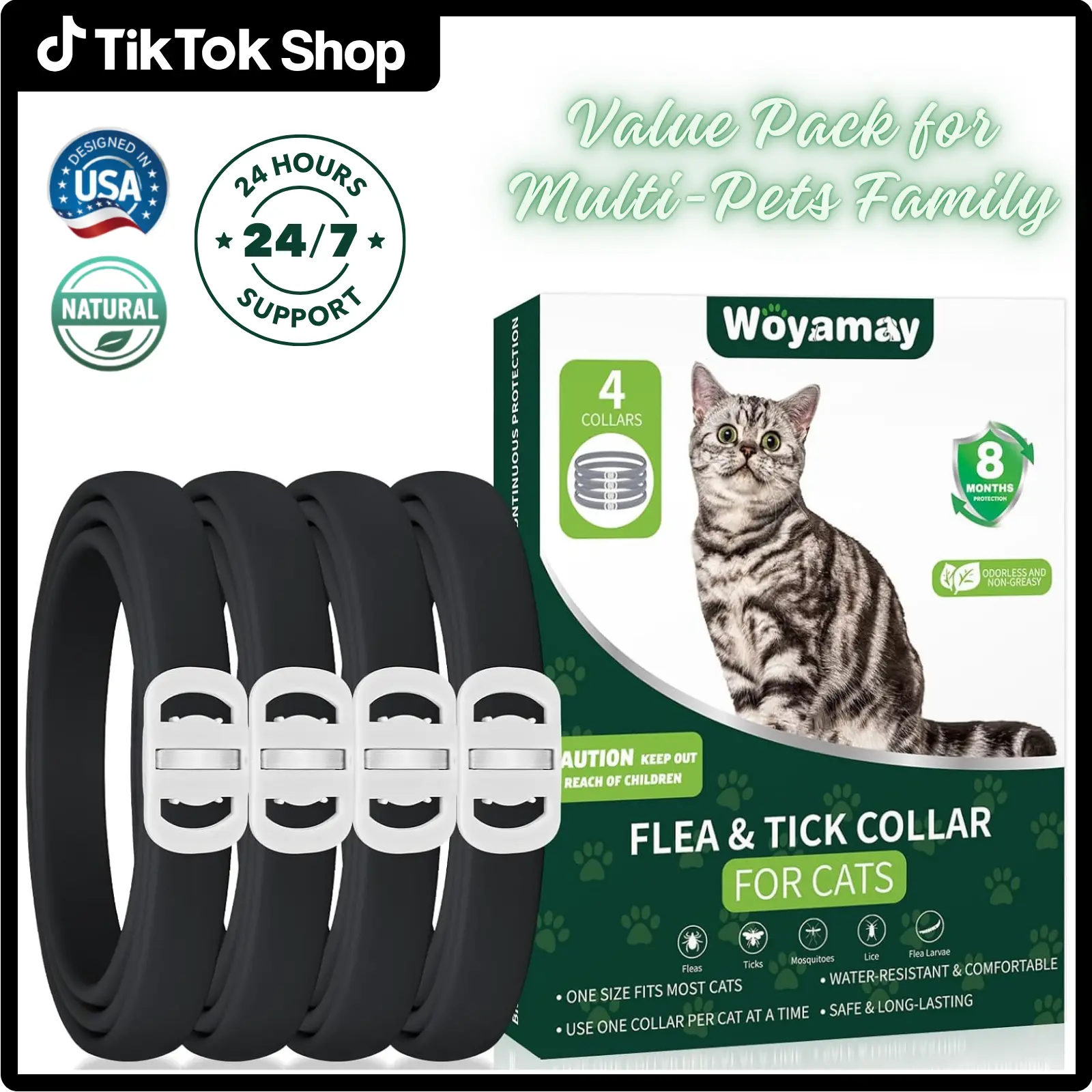 Black Cat Collar Silver Buckle