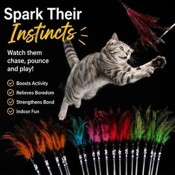 Feather Cat Stick - Interactive Feline Toy, Essential Pet Supply for Playtime