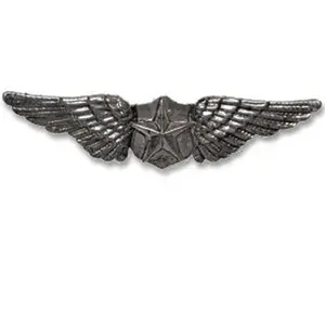Pilot Wings Pin