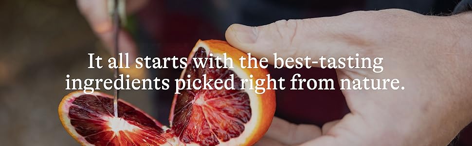 Spindrift Sparkling Water, 4 Flavor Variety Pack, Made with Real Squeezed Fruit, 12 Fl Oz (Pack of 20)