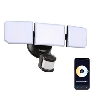 Guardian Flood and Security Wall Light with Motion and Photo Sensor