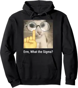 Erm, What the Sigma? Cat Meme Funny Pullover Hoodie - Loislefors Shop 54B0DCTSMCFX