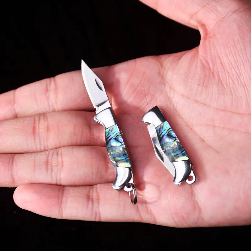 Mini Abalone Shell Foldable Paring Knife - Foldable Tool, Multi Functional Portable Knives with Brass Accent, Durable Stainless Steel Blade, Tiny Keychain Pocket Tool for Fruit & Crafts Use