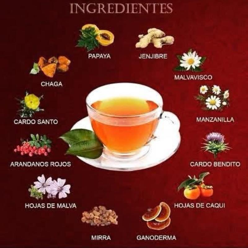 Te Divina - Buy 4 Get 2 Free, Natural Herbal Tea Caffeine - Free, 6 Weeks, Infused With Reishi Premium Beverage Drink Nata