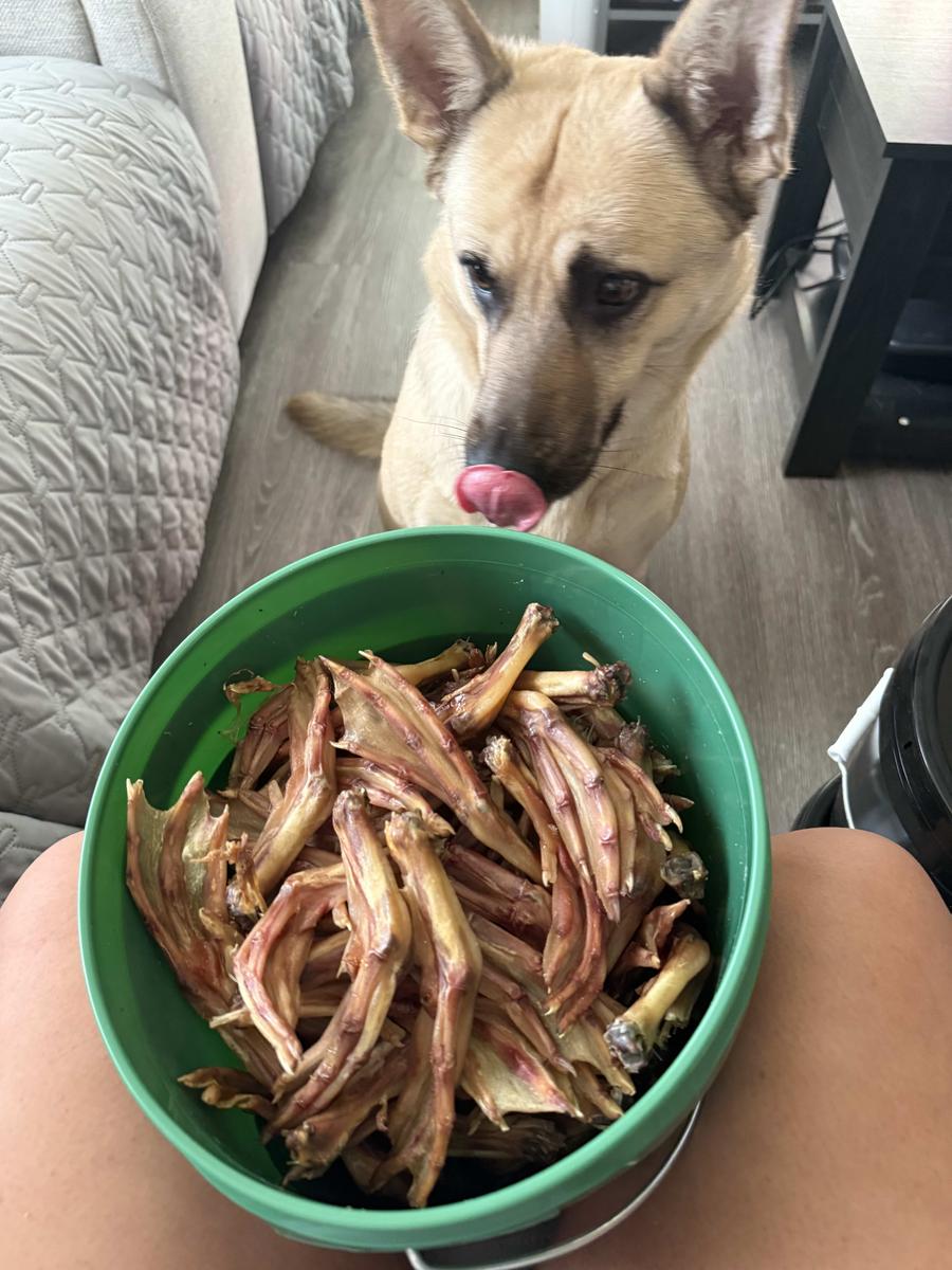 Item: 120 count bucket