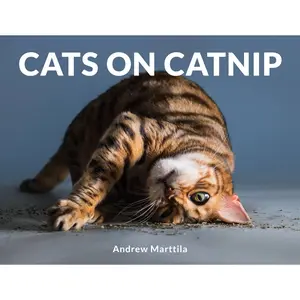 Cats on Catnip by Andrew Marttila [Hardcover Book]