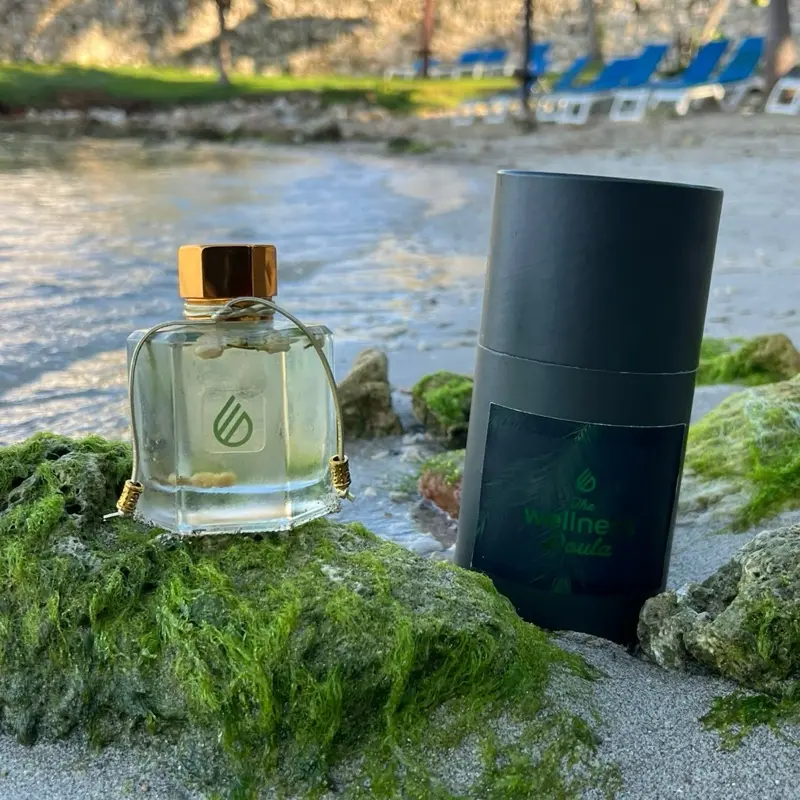 EXPAND Reed Diffuser | Aromatherapy Home Fragrance for Focus & Creativity | The Wellness Doula