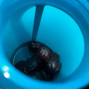 Product Review of Goli Ashwagandha & Vitamin D Gummy - Mixed Berry, KSM-66, Vegan, Plant Based, Non-GMO, Gluten-Free & Gelatin Free. America's #1 Ashwagandha Brand from M**a V**a