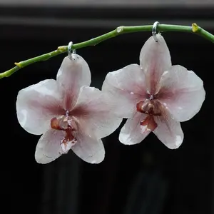 KenzieLeighCo | Sunrise Orchid Earrings | Silver Hoop Earrings